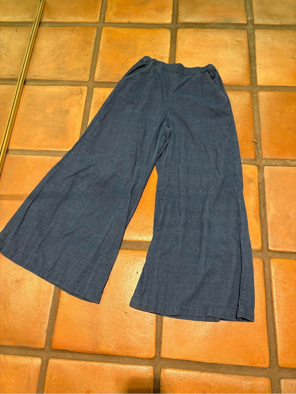CP Shades Navy Wide-Leg Cropped Pants